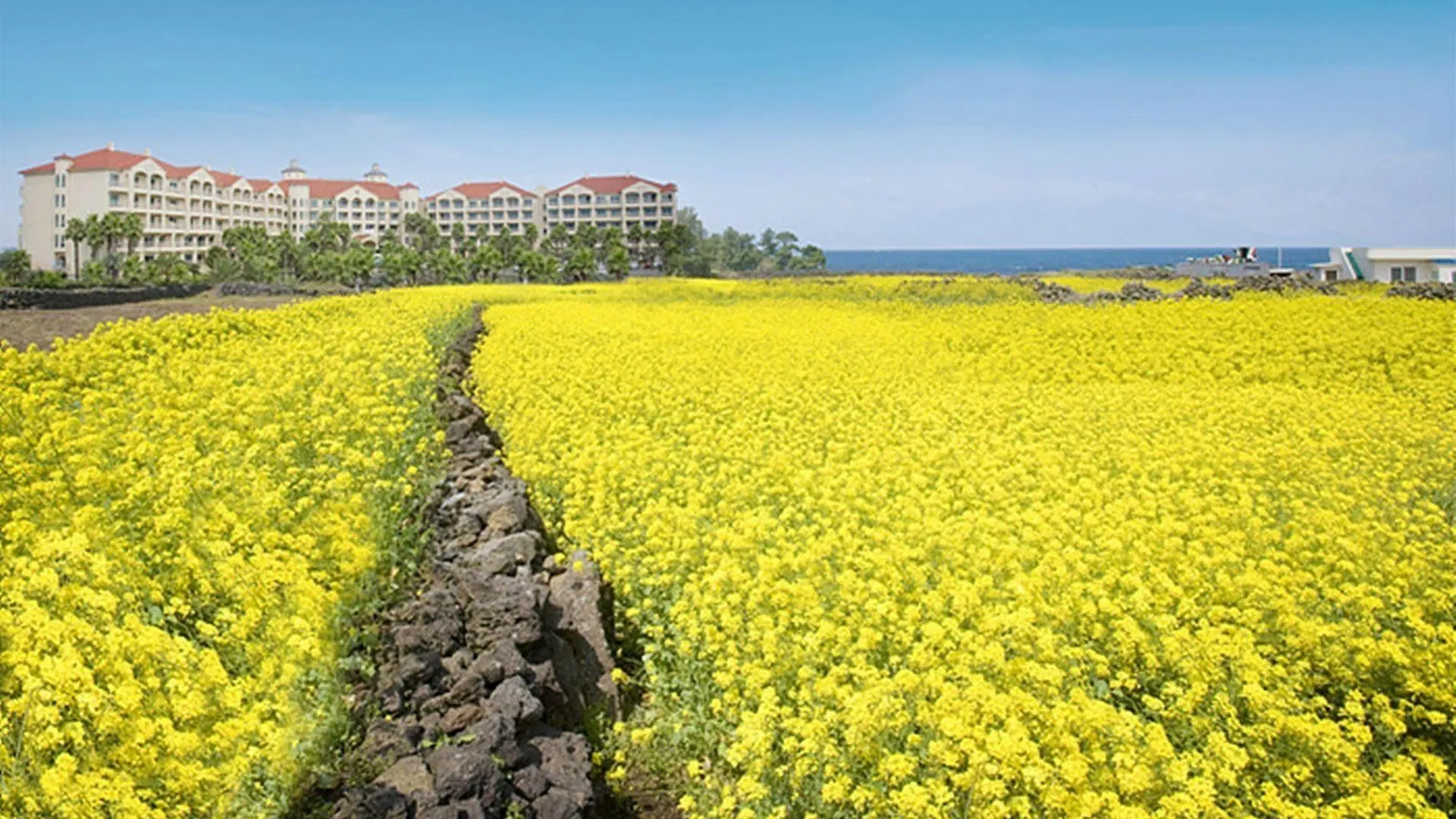 *** Resort Sono Belle Jeju Hotel South Korea
